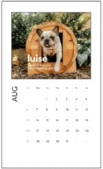 luise the nomad sauna dog