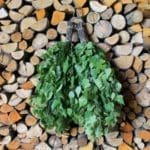 birch sauna whisk surrounded by wood
