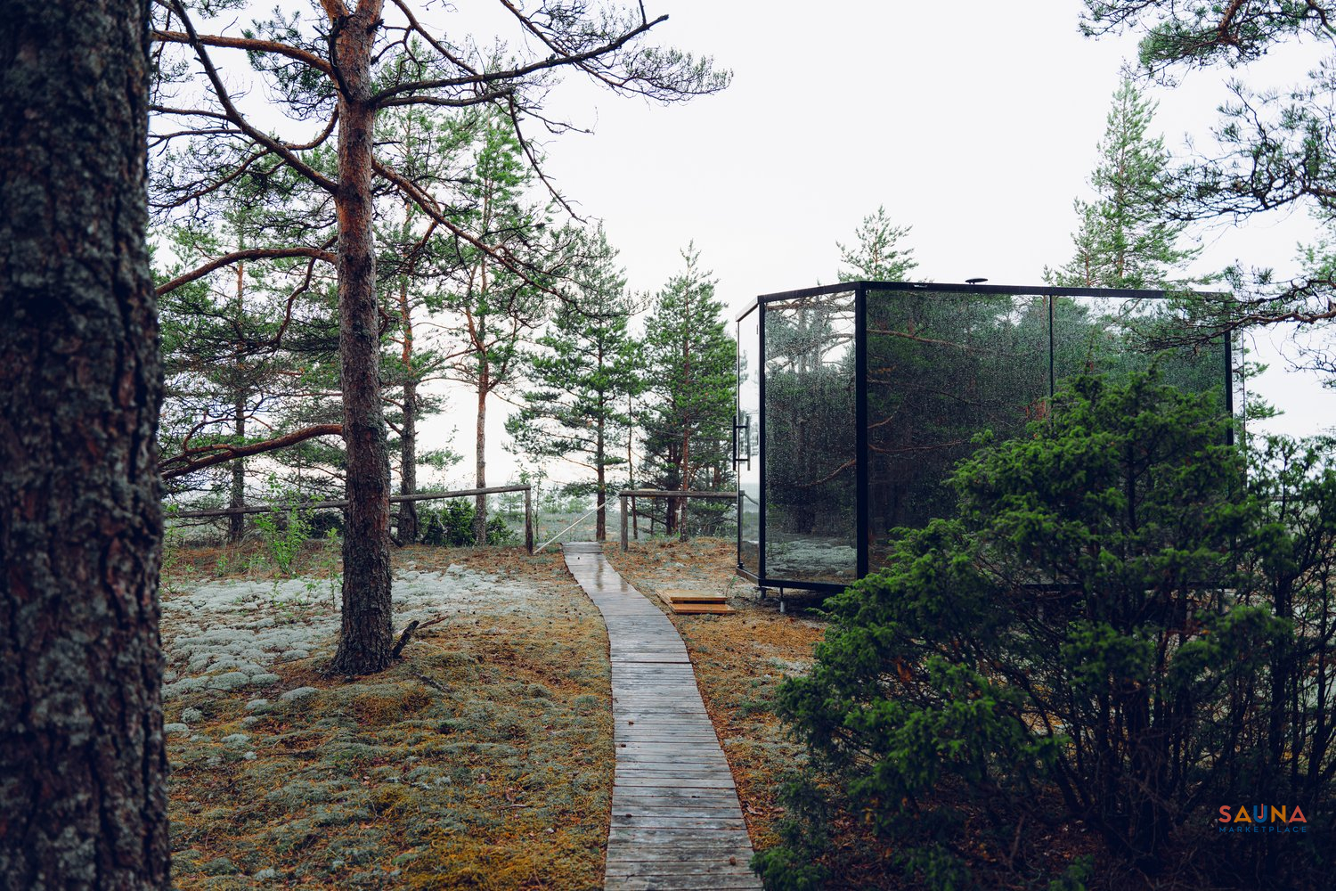 Haljas Hele Double - Mirrored Glass Sauna With Changing Room - Image 15